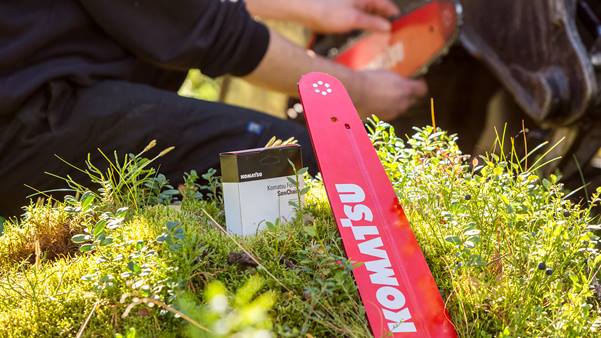 Manutenção de sabre e corrente na floresta