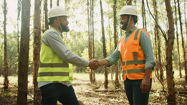 Treinamento ProAct na cabine